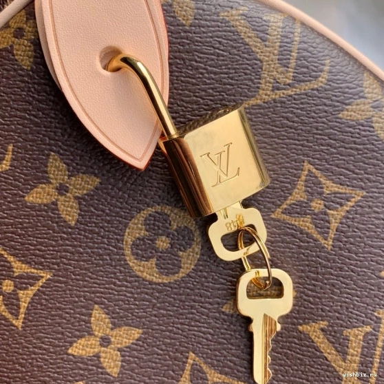 WIS SPEEDY Louis Vuitton 25 0114